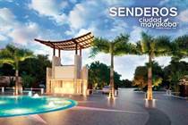 Homes for Sale in Mayakoba, Playa del Carmen, Quintana Roo $65,000