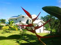 Homes for Sale in Rio San Juan, Maria Trinidad Sanchez $459,900
