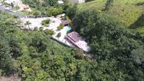 Commercial Real Estate for Sale in Bo. Helechal, Barranquitas, Puerto Rico $695,000