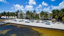 Condos for Sale in Ambergris Caye, Belize $365,000