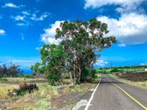 Lots and Land for Sale in Hawaii, OCEAN VIEW, Hawaii $75,000