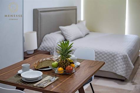 Beautiful 1 Bedroom Penthose for Sale in Playa del Carmen!, Playa del