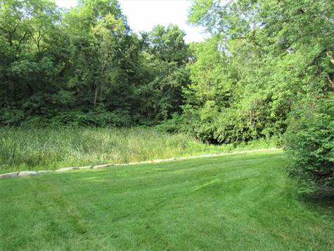 Green space behind home (2)