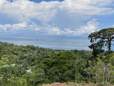 15.9 ACRES – Ocean View Development Property With Legal Water, Public Road, 5 Min From Highway!