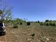 Lots and Land for Sale in Macao, La Altagracia $642,888