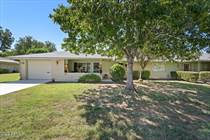 Homes for Sale in Sun City, Arizona $265,000