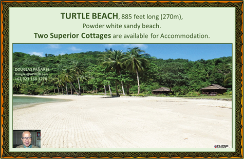 8. Turtle Beach