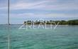Lots and Land for Sale in Turneffe Island, Belize $250,000