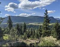 Farms and Acreages for Sale in Mabel Lake, British Columbia $1,500,000
