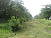 Lots and Land for Sale in Pococi, Limón $780,000