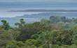 Lots and Land for Sale in Osa, Sierpe , Puntarenas $115,000