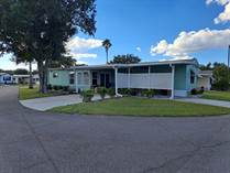 Homes for Sale in The Lakes At Countrywood, Plant City, Florida $39,900