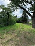 Lots and Land for Sale in Pense, Saskatchewan $20,000