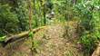 Lots and Land for Sale in Portalon, Puntarenas $99,000