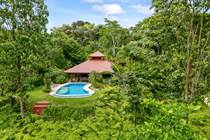 Homes for Sale in Portalon, Puntarenas $565,000