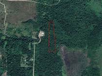Lots and Land for Sale in Hopkins, Stann Creek $90,000