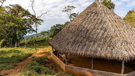 Costa Rica Farms and Development Property