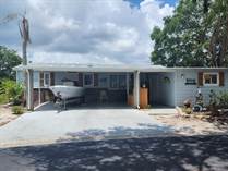 Homes for Sale in Riverside Club, Ruskin, Florida $165,700