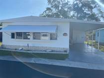 Homes for Sale in Suncoast Gateway, Port Richey, Florida $48,900