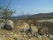 Lots and Land for Sale in Buenos Aires, Los Barriles, Baja California Sur $75,000