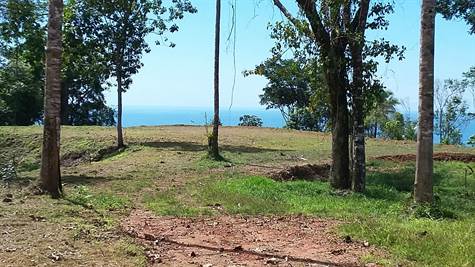 2.6 ACRES - One Of The Best Ocean View Estate Properties Available In Southern Costa Rica!!!!