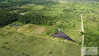 Belize 6 acres of fertile land with Pond Near Spanish Lookout