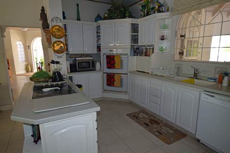 Barbados Luxury Elegant Properties Realty - kitchen.