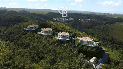 4 Bedroom Ocean View Villa With Infinity Pool In Las Terrenas