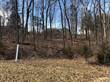 Lots and Land for Sale in Byrnes Mill, Missouri $35,000