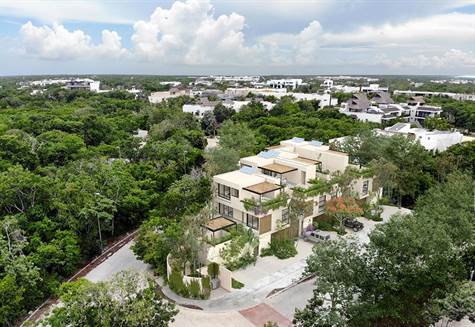 Tulum Real Estate: Homes for Sale