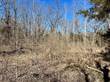 Lots and Land for Sale in Hillsboro, Missouri $6,500