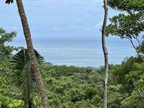 Lots and Land for Sale in Hatillo, Dominical, Puntarenas $325,000
