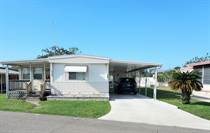 Homes for Sale in Hawaiian Isles, Ruskin, Florida $58,900