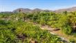 Commercial Real Estate for Sale in San Jose del Cabo, Baja California Sur $5,000,000