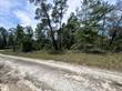 Lots and Land for Sale in Williston Highlands, Williston, Florida $30,000