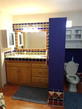 Vista de Oro Master Bathroom