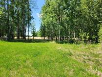Lots and Land for Sale in Buck Lake, Alberta $140,000