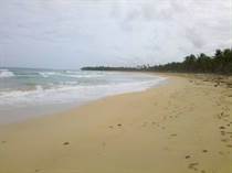 Lots and Land for Sale in Punta Cana, La Altagracia $75