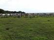 Lots and Land for Sale in Carrillo, Guanacaste $2,250,000