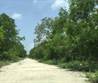 Lots and Land for Sale in Playa del Carmen, Quintana Roo $8,140,000