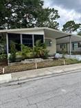 Homes for Sale in Shady Lane Oaks, Clearwater, Florida $92,000