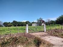 Lots and Land for Sale in San Jose del Valle, Nayarit $250,000