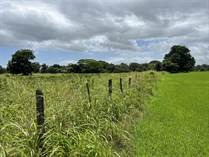 Farms and Acreages for Sale in Bagaces, Liberia, Guanacaste $1,750,000