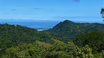 Lots and Land Sold in Tres Rios, Puntarenas $250,000