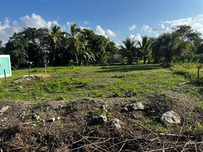 Affordable Lot in Corozal Town, Belize 
