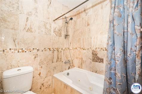 Guest Bathroom - shower & tub