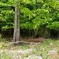 Lots and Land for Sale in Tobyhanna, Pennsylvania $12,000