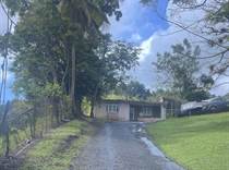 Homes for Sale in Guzman Abajo, Rio Grande, Puerto Rico $75,000