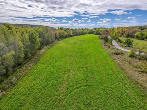 View of Cleared Section of 30 Acres on Howes Road, Frankford