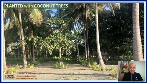 3. with coconut trees